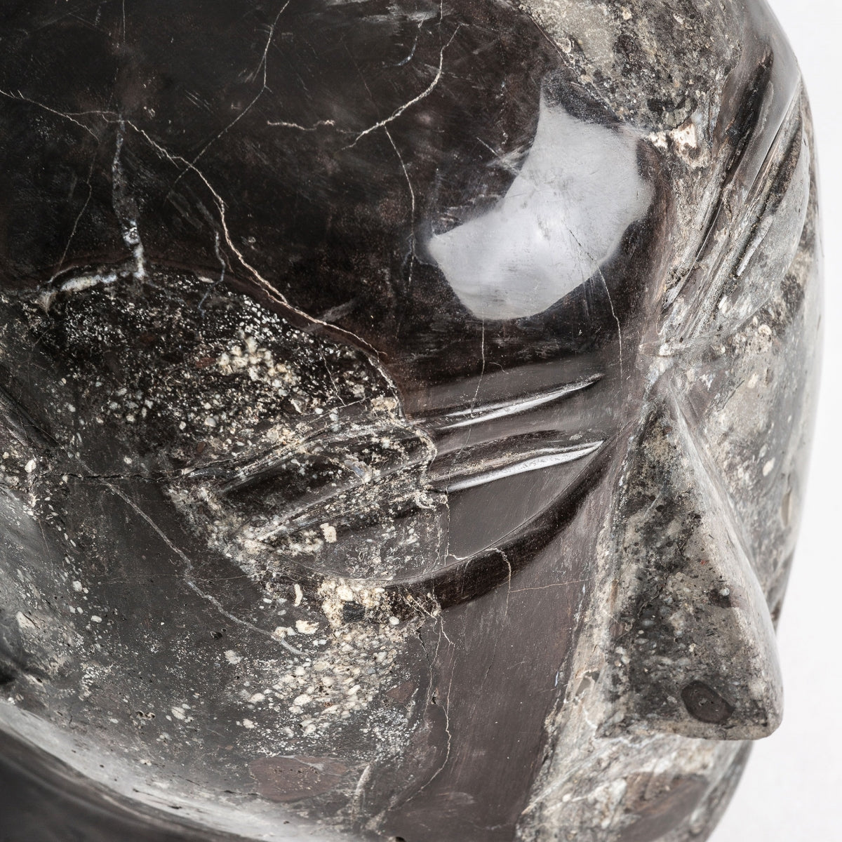 BUSTO ROBIN