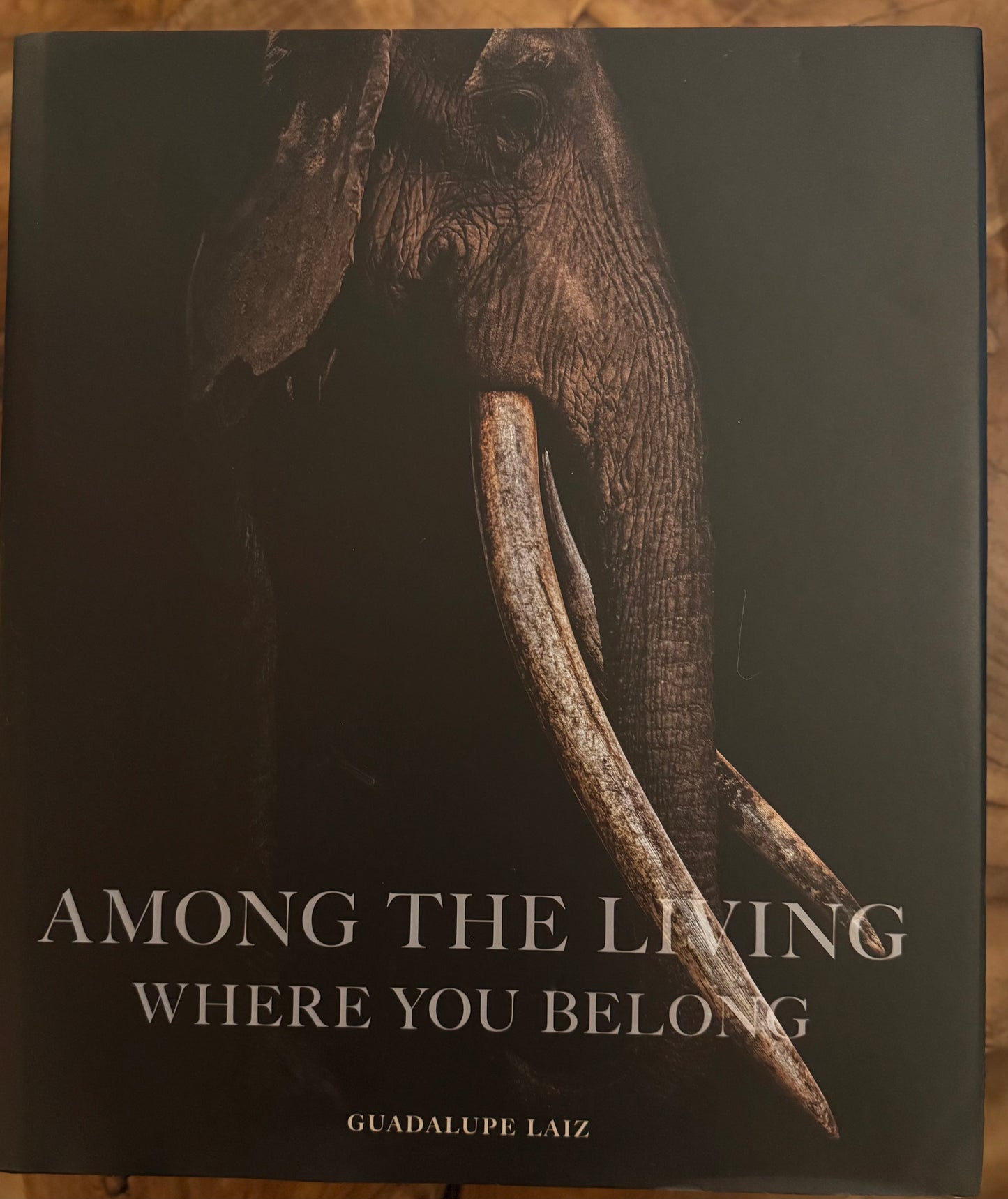 Among the Living: Where You Belong