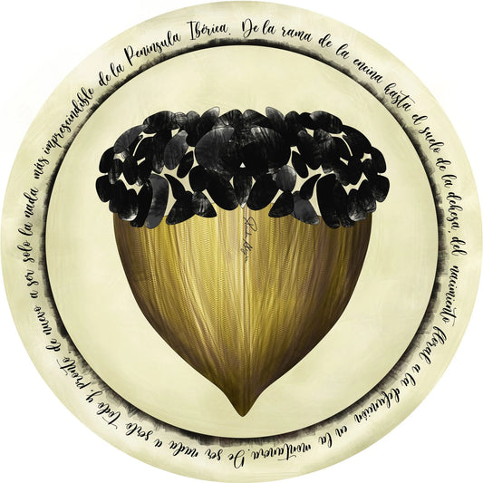 BAJO PLATO REDONDO BELLOTAS