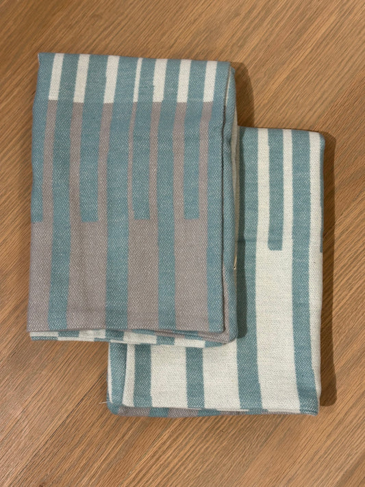 PAR DE FUNDAS COJIN SONA CARDADAS AQUA 35X50