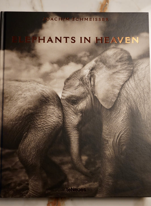 Elephans in Heaven