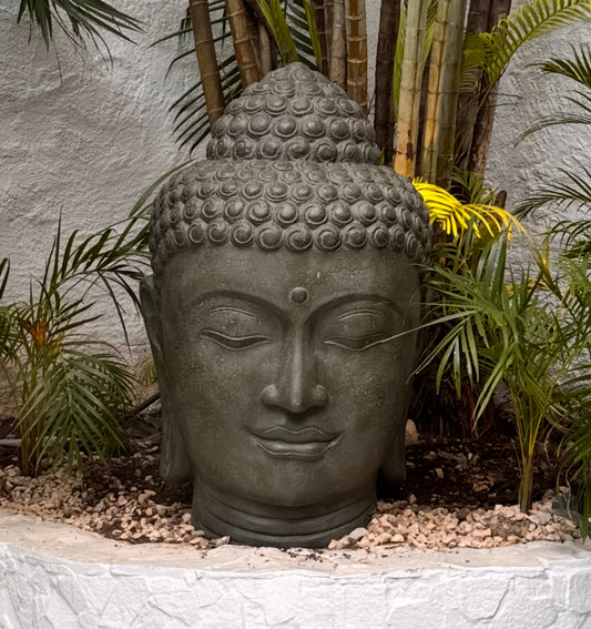 CABEZA DE BUDHA
