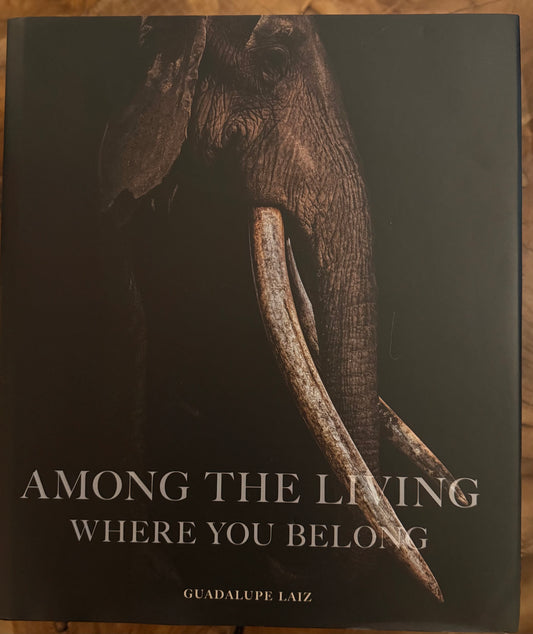 Among the Living: Where You Belong