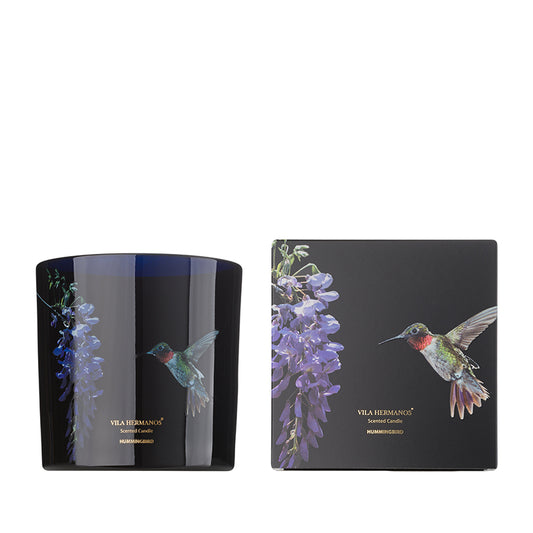 Vela  Colibri Hummingbird
